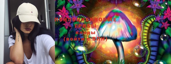 бошки Карпинск