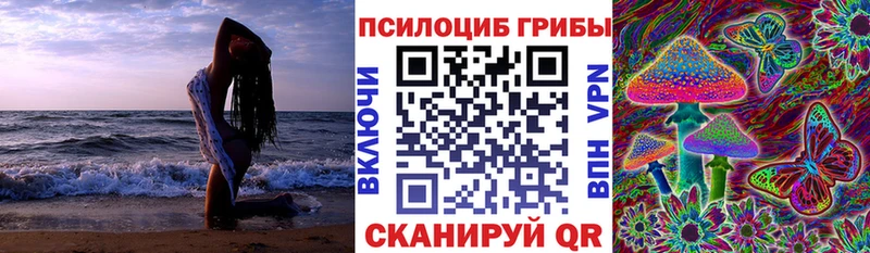 Галлюциногенные грибы мицелий  Купить где  Зверево 